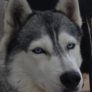 Meet your Posher, Marilyn